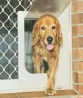 Large Petway Pet Door