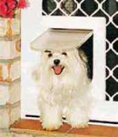 Small Size Petway Pet door