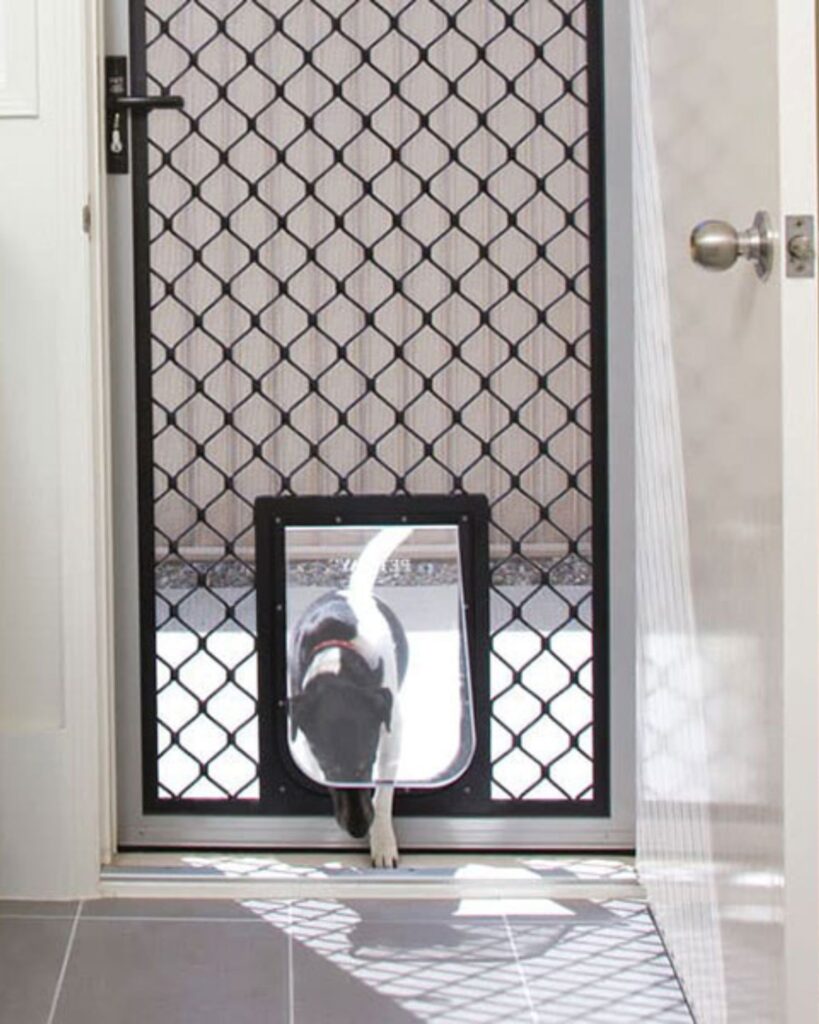 Dog entering inside through a dog door that's installed into a Diamond Security door