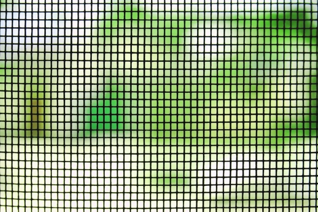Close up of fly screen mesh window