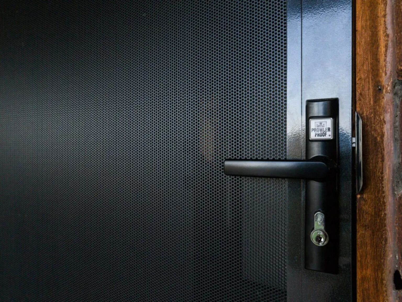 Protec hinged security door