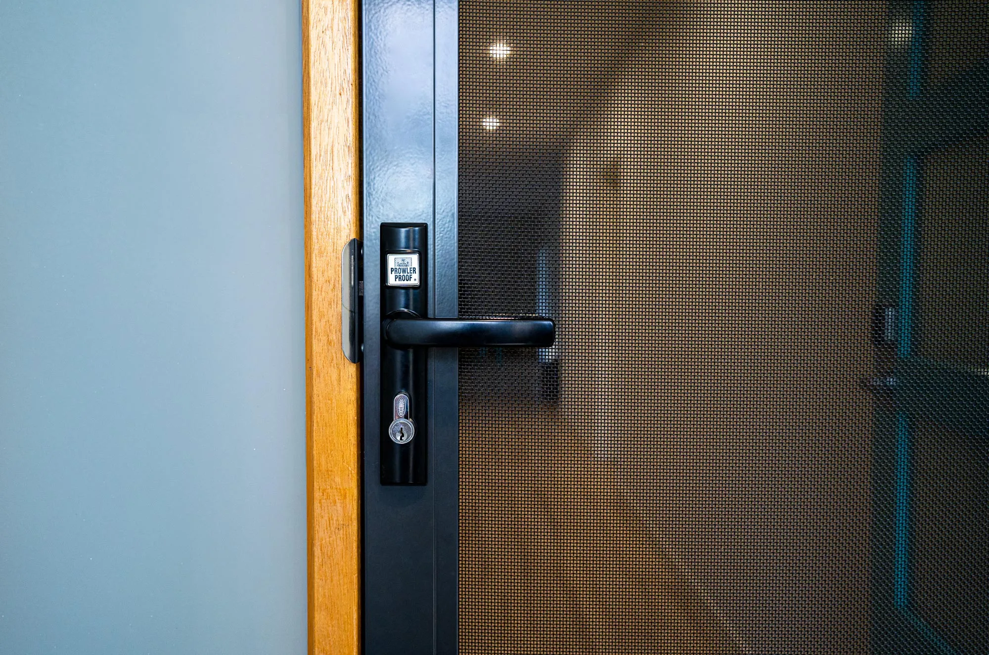 ForceField Security Door
